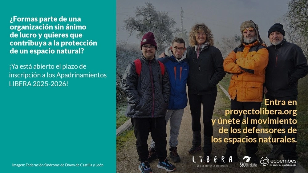 Proyecto Libera