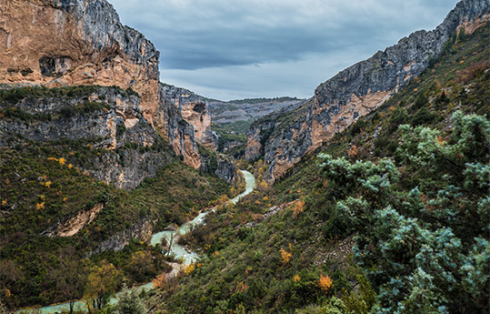 Descubre el parque natural