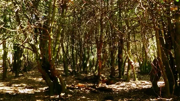 Descubre el parque natural