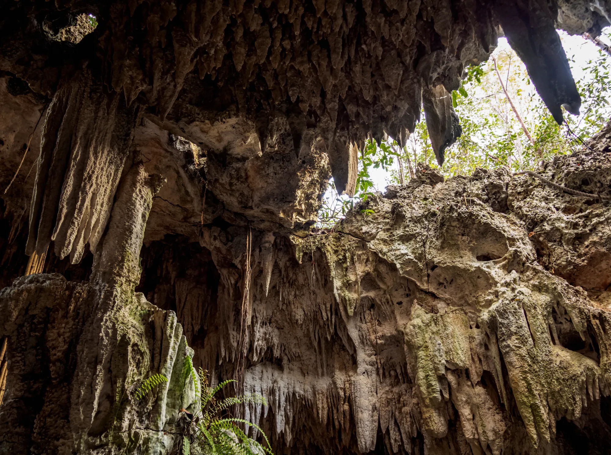 Descubre el parque natural