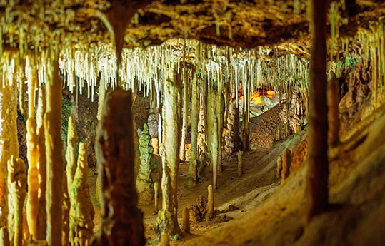 Descubre el parque natural