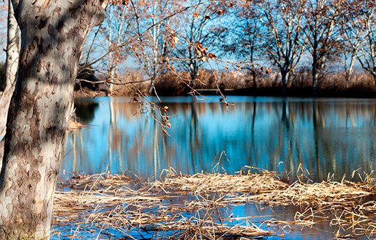 Descubre el parque natural