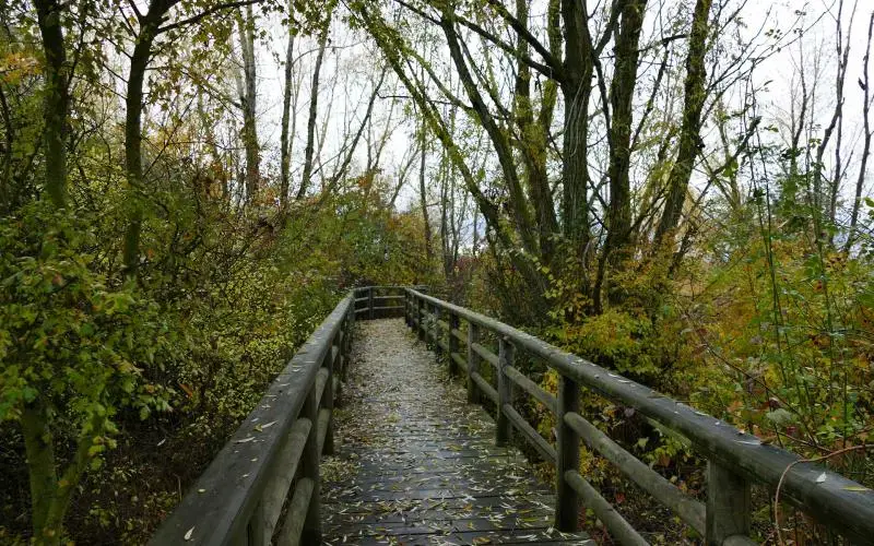 Descubre el parque natural