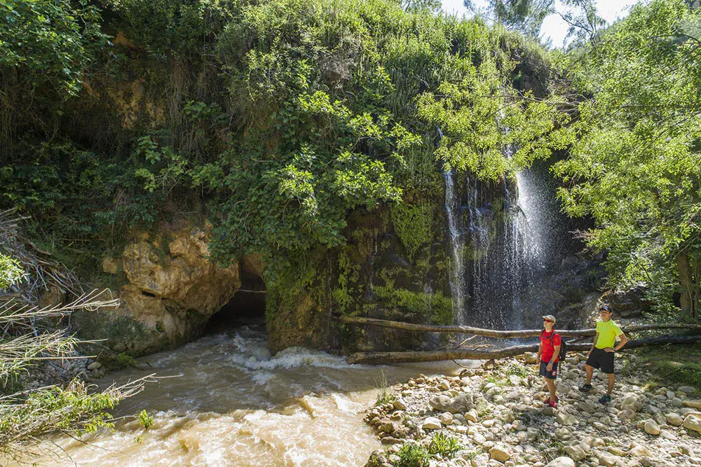 Descubre el parque natural