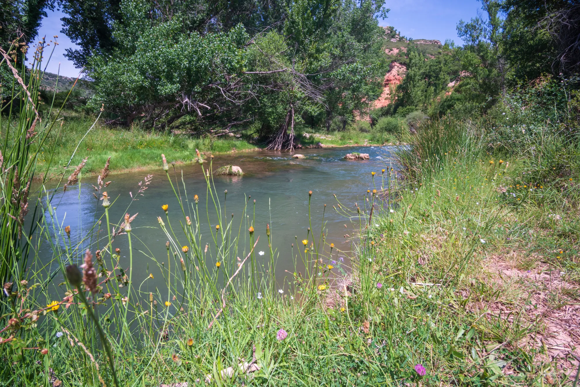 Descubre el parque natural