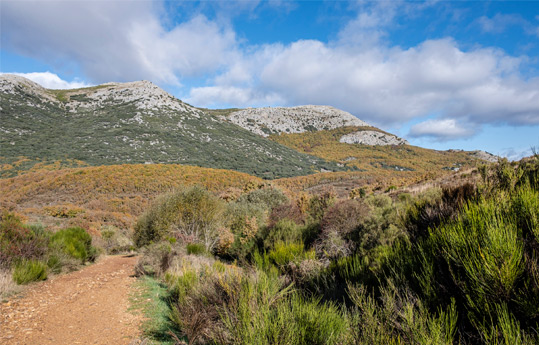 Descubre el parque natural