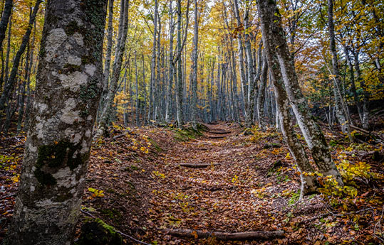 Descubre el parque natural