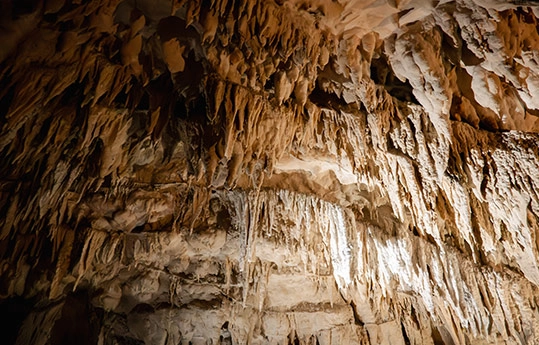 Descubre el parque natural