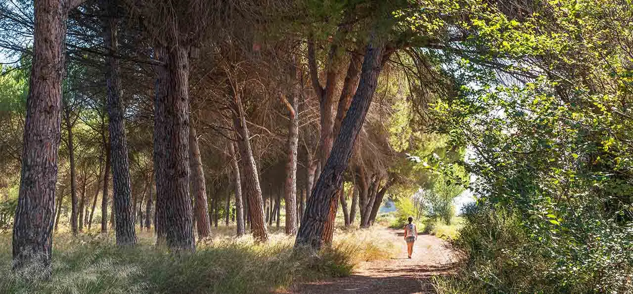 Parques naturales