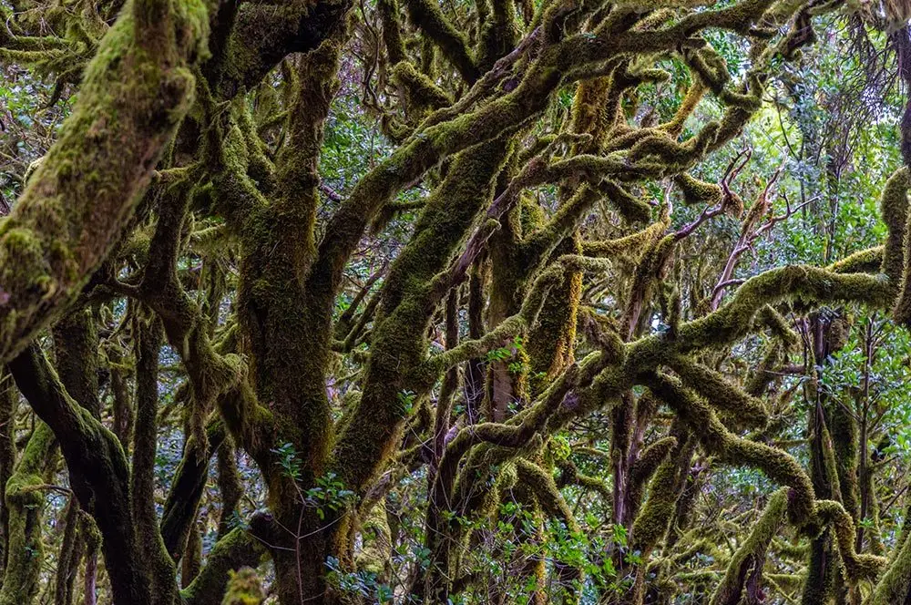 Descubre el parque natural