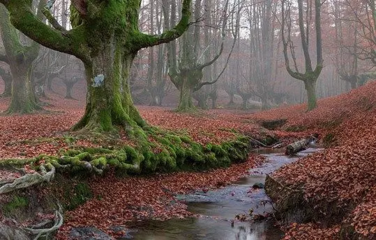 Descubre el parque natural