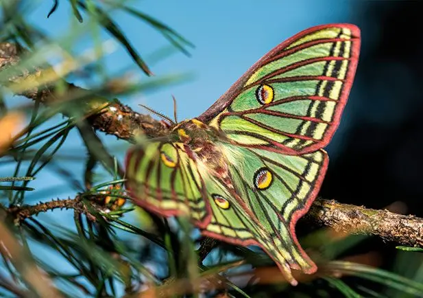 Fauna en el parque natural