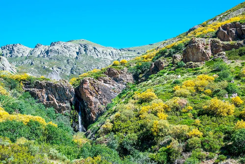 Descubre el parque natural