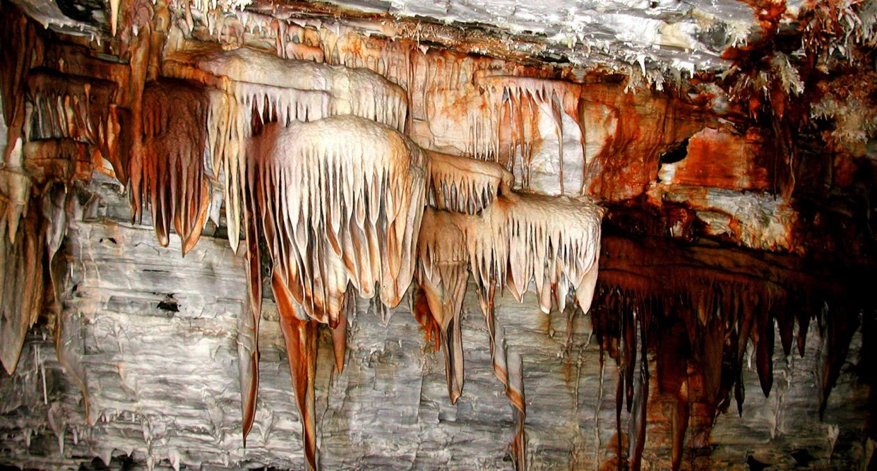 Descubre el parque natural