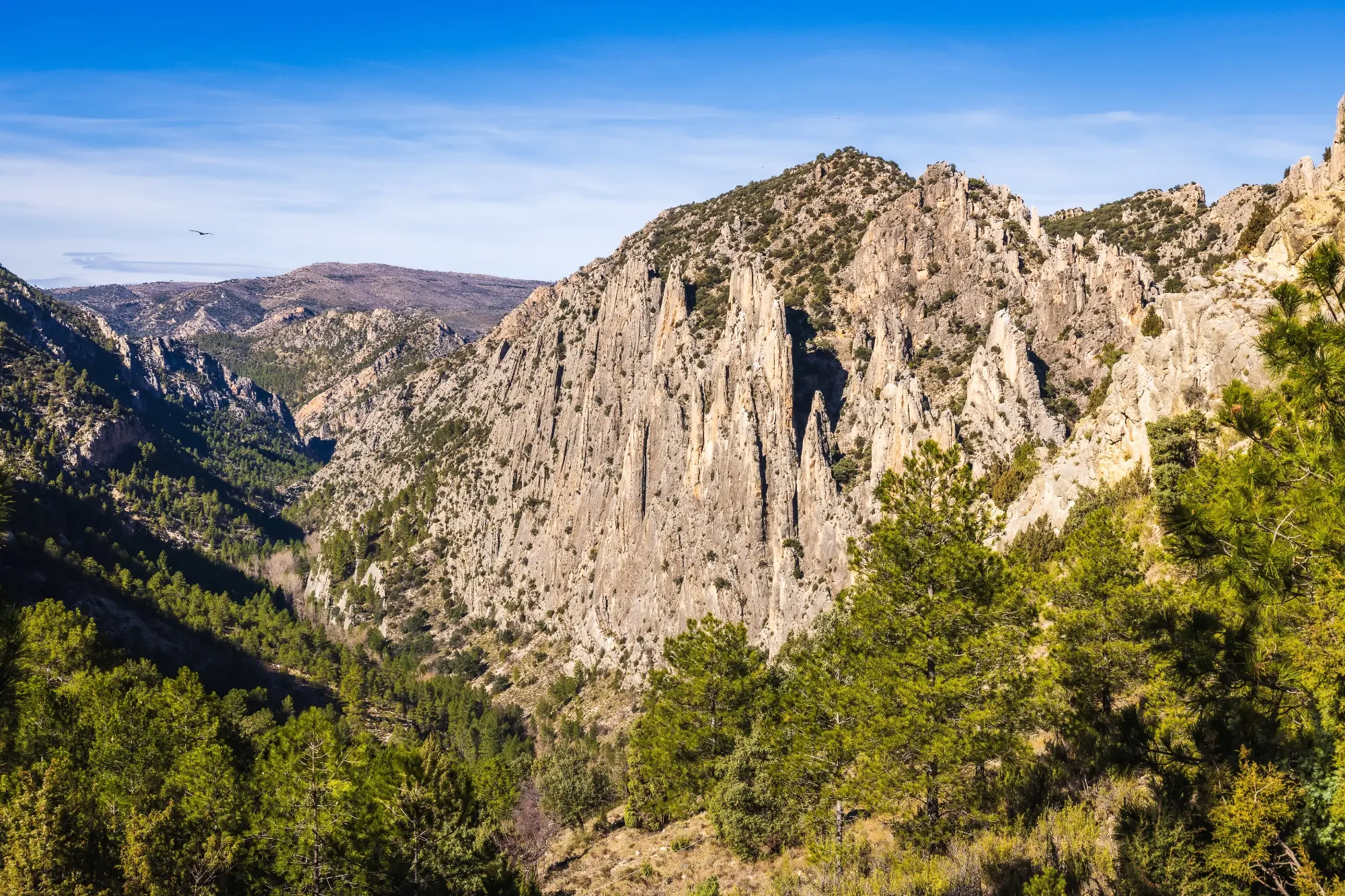 Descubre el parque natural