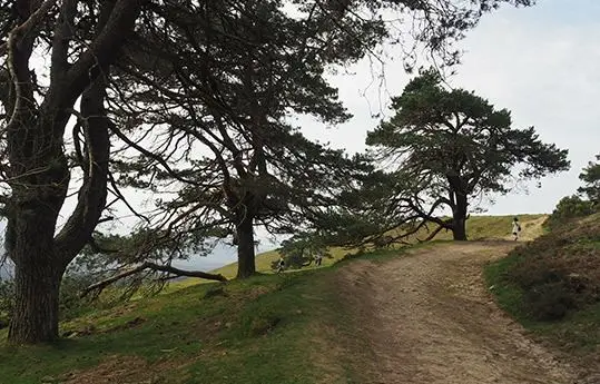Descubre el parque natural
