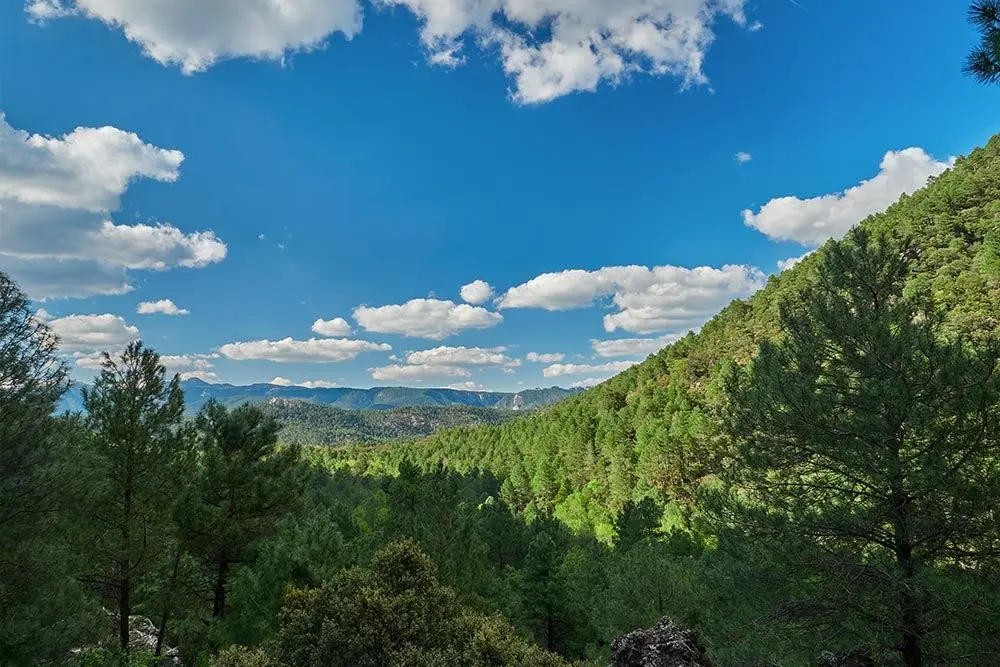 Descubre el parque natural