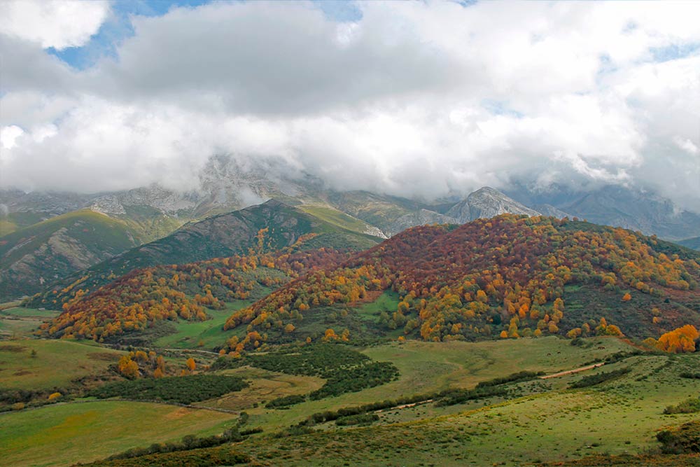 Descubre el parque natural