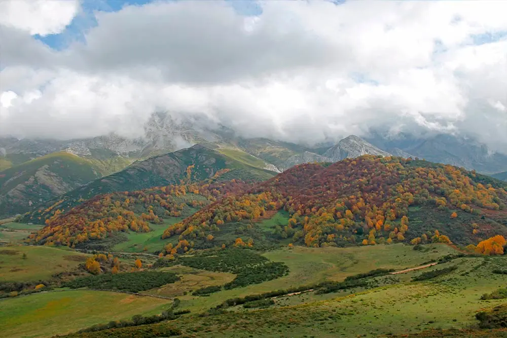 Descubre el parque natural