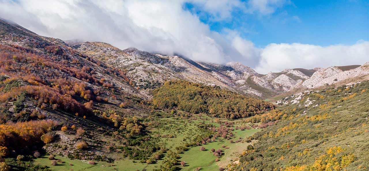 Parques naturales