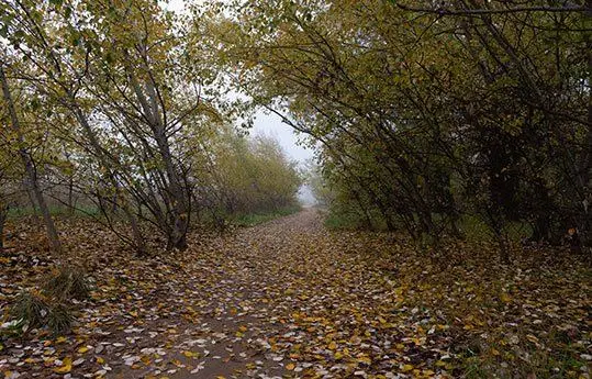 Descubre el parque natural