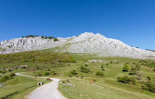 Descubre el parque natural