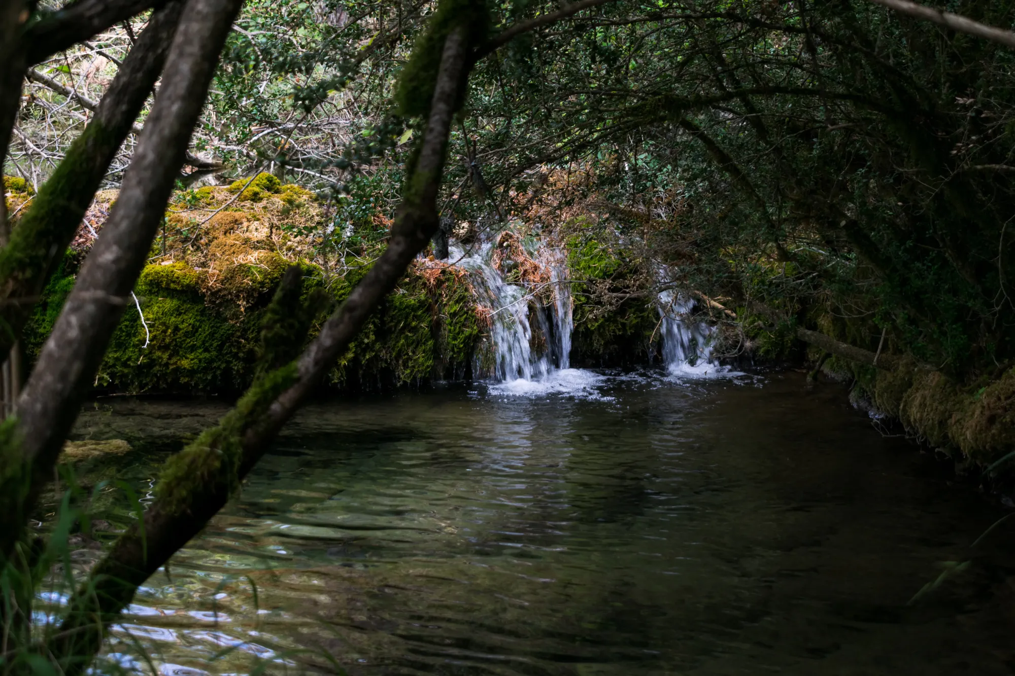 Descubre el parque natural