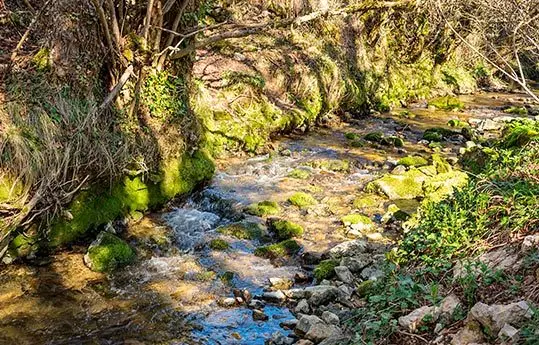 Descubre el parque natural