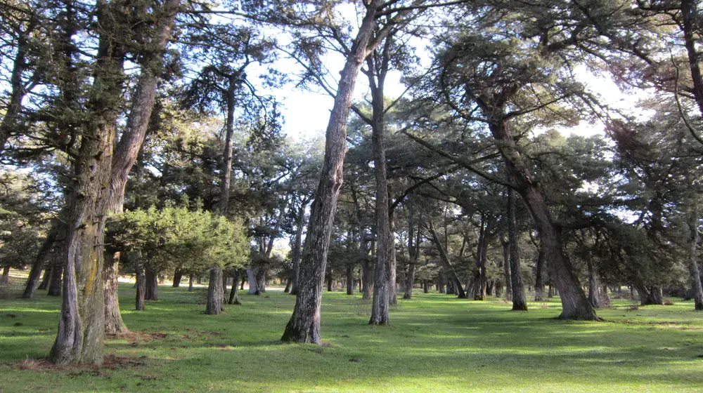 Descubre el parque natural