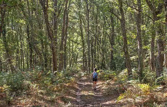 Descubre el parque natural