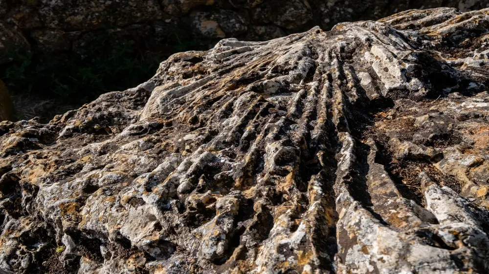 Descubre el parque natural