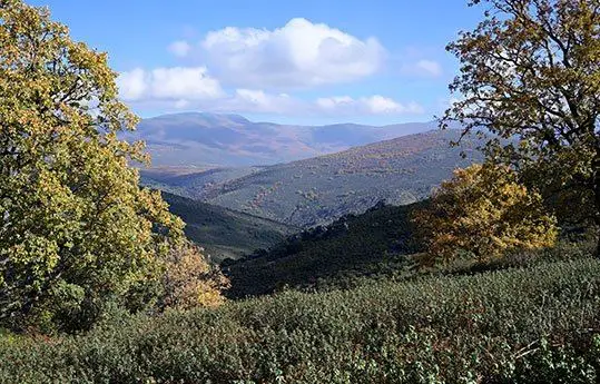 Descubre el parque natural