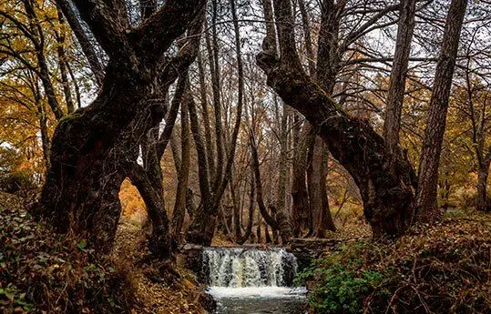 Descubre el parque natural