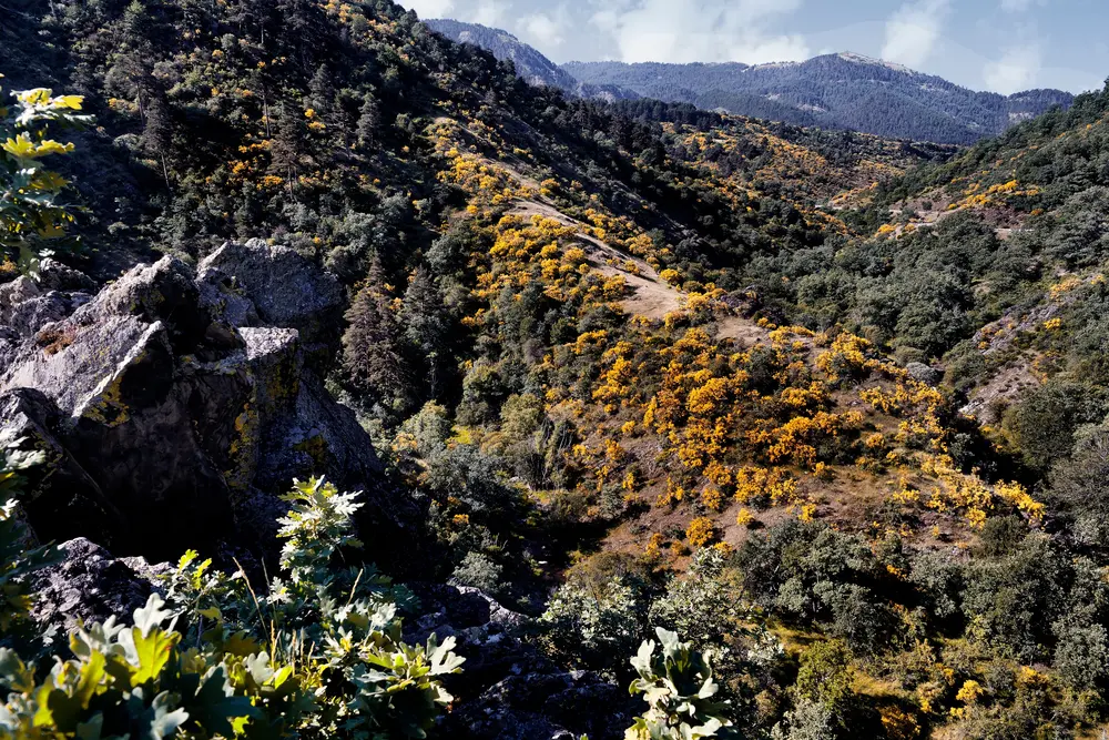 Descubre el parque natural