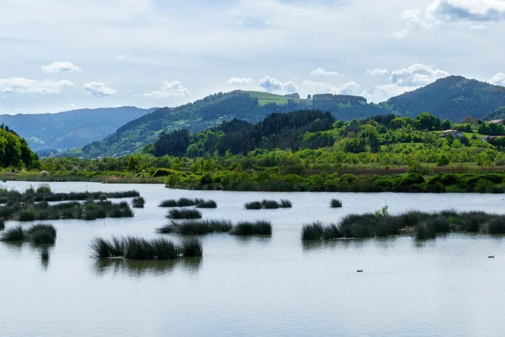 Descubre el parque natural
