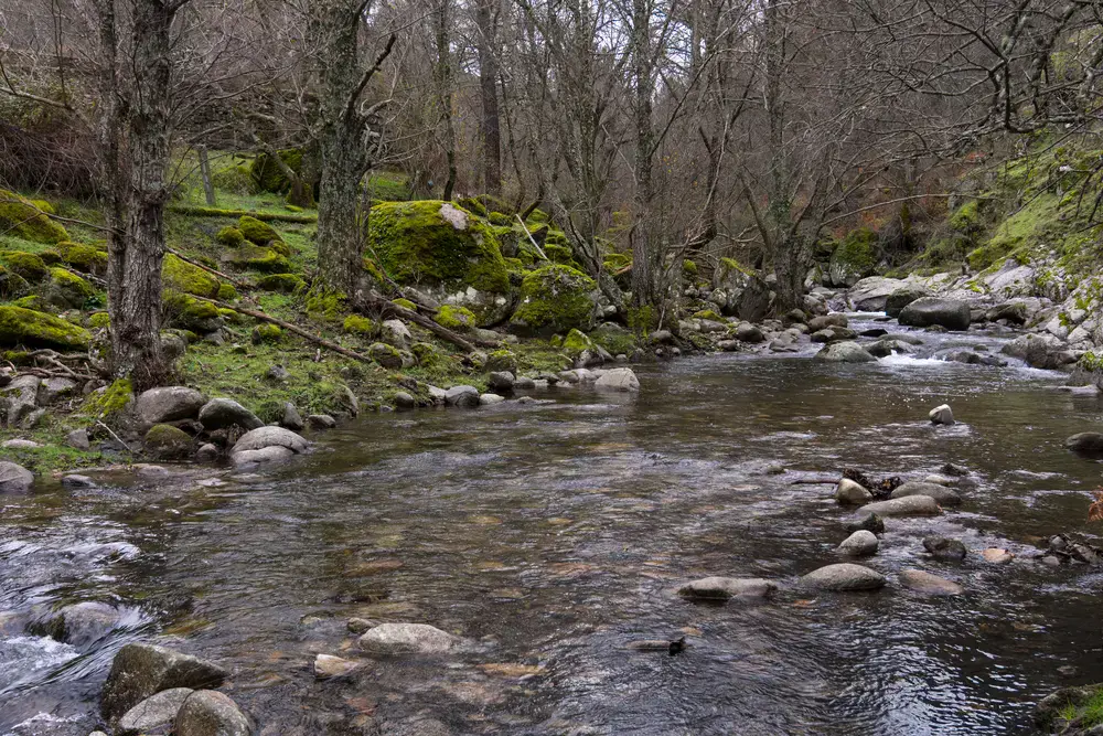 Descubre el parque natural