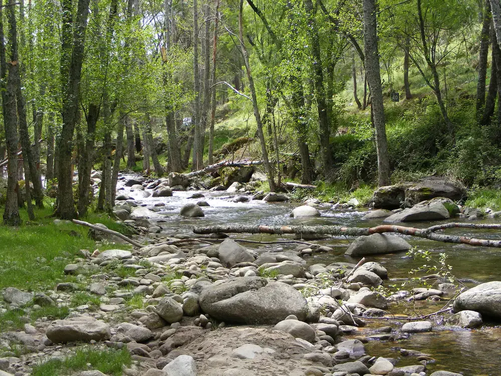Descubre el parque natural
