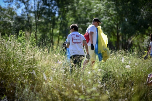 voluntarios para las campañas Libera