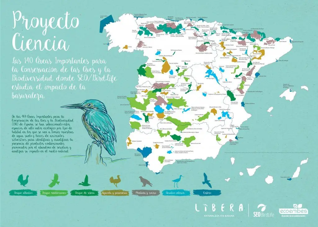 SEO/BirdLife investigará el impacto de la basuraleza en las Áreas Importantes para la Conservación de las Aves y la Biodiversidad